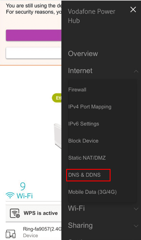 Internet menu expanded with DNS & DDNS highlighted.