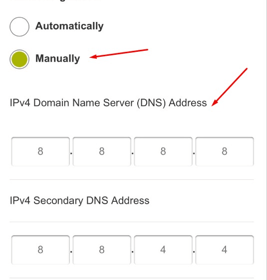 Manually selected with Google DNS 8.8.8.8 and 8.8.4.4 entered.